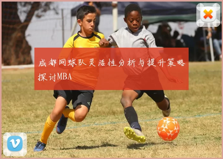 成都网球队灵活性分析与提升策略探讨MBA