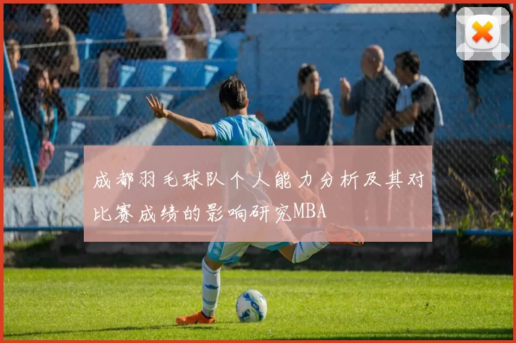 成都羽毛球队个人能力分析及其对比赛成绩的影响研究MBA